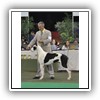 Jr Ch Rufus Von Pao