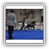 Jr Arg Ch Jov Venc Am & Car Jov Bras Ch Arg Ch Fer Bubba Rondo Von Pao