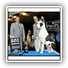 Jr Arg Ch Arg Bras Ch Rufus Von Pao